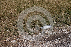 Litter along a roadside - plastic bottle