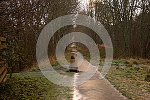 litter bin and footpath in Melrose in winter freeze