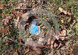 Litter found in private lawn - paper trash