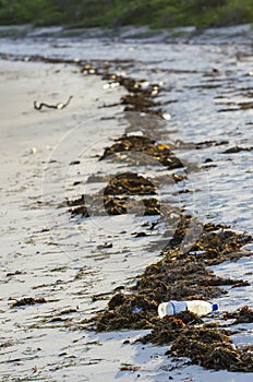 Litter on the shore