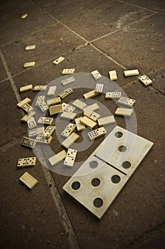 Littered domino