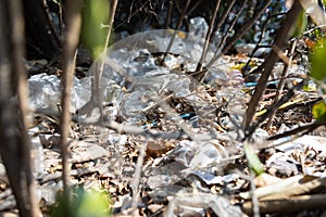 Littering of garbage of used plastic bag throw in the crevices of the bushes,lots of rubbish plastic waste,pollution problem by