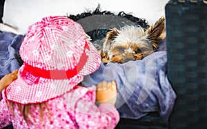 Little 2 years old girl in pink hat with yorkshire terrier dog resting on sofa in backyard