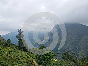 Little Adam peak, mountain in the fog view from the jungle