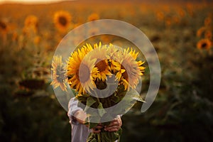 Little adorable kid boy holding bouquet of sunflowers in summer day. Child giving flowers.