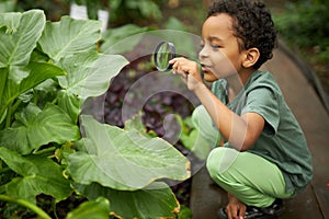 Little african american kid boy look at plant using magnifier