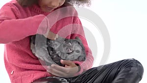 Little african curly girl is holding and stroking grey chinchilla at white background. Close up. Slow motion