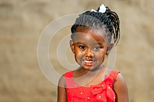 Little african girl with braided hairstyle.