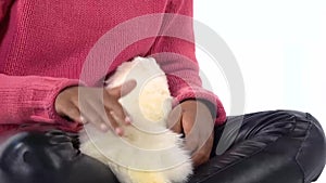 Little african girl is stroking albinos ferret furo with red eyes at white background. Close up. Slow motion