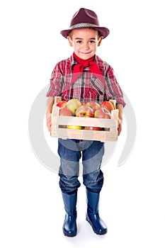 Little agriculturist boy holding apples in crate photo