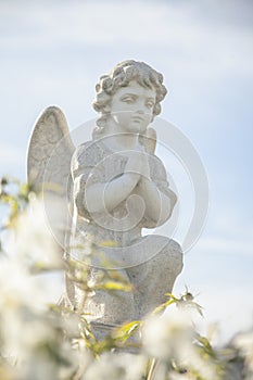 Little angel in flowers as symbol of guards for children. Love, faith, hope, religion, Christianity, good concept