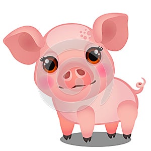 Little animated pig isolated on white background. Sample of poster, party holiday invitation, festive banner, card