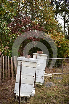 A little apiary in the fall