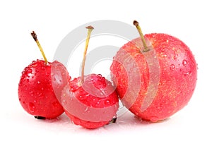 Little apples