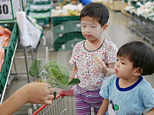 Little Asian babies looking at green fresh broccoli in their mother`s hand