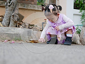Little Asian baby girl reaching her hand out to touch something tiny on the surface of a street