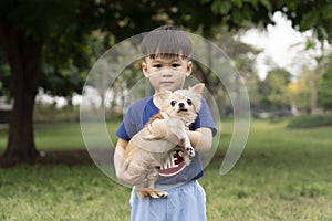 Little Asian boy happy with a Chihuahua dog in the park