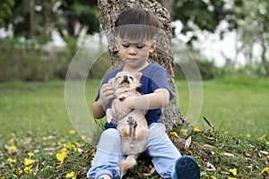 Little Asian boy happy with a Chihuahua dog in the park, Children and pet