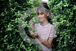 Little asian girl  fresh and natural, love green love nature Happiness amid nature