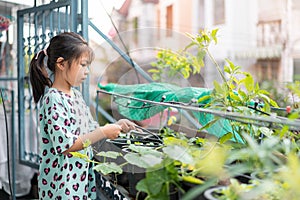 Little asian woman girl watering the plant in pot with watering hose, helping parents to grow vegetables, Selective focus,
