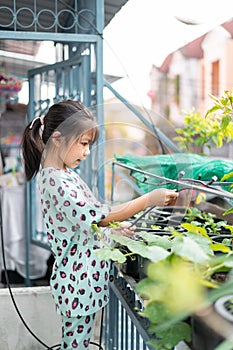 Little asian woman girl watering the plant in pot with watering hose, helping parents to grow vegetables, Selective focus,