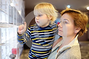 Little Ñaucasian boy and woman looking an exposition in a scientific museum. Periodic table of chemical elements