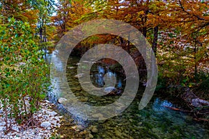 A Little Babbling Brook with Stunning Fall Cypress Trees