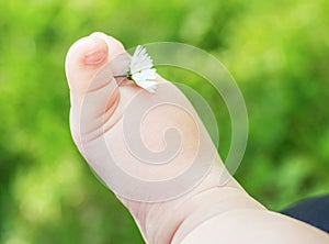 Little baby bare feet with flower on fresh green grass