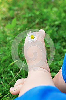 Little baby bare feet with flower on fresh green grass
