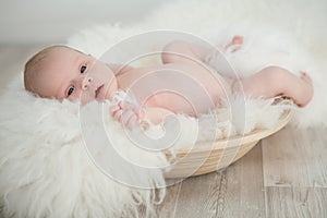 Little baby in a basket