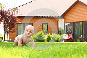 Little baby boy crawling on green grass at backyard