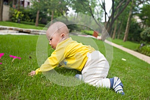 Little baby boy on the grass