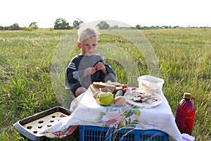 Little baby boy having picnic toys Happy child sitting on blanket with basket eating fruit outdoors. Leisure activity