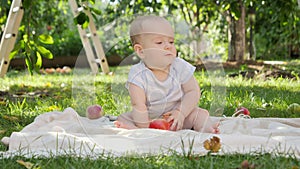 Little baby boy picking ripe apples under apple tree at backyard garden. Concept of child development, parenting and