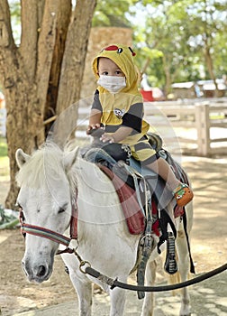 Little Baby Boy Riding Horse