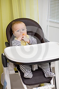 Little baby boy sitting in chair for feeding and eating special biscuit for babies. Kitchen