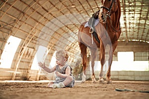 Little baby boy is sitting on the ground with horse indoors