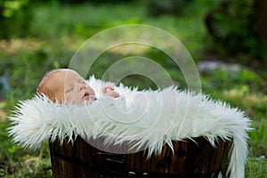 Little baby boy, sleeping in basket with white fur