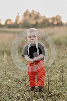Little baby boy standing in the field on the grass in summer