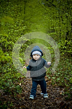 Little baby boy walking on the forest pathway.