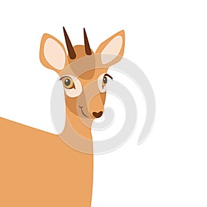 Little baby deer vector illustration style Flat