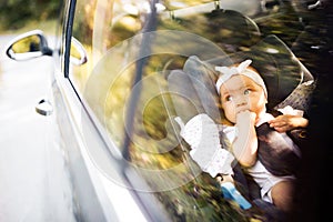 Little baby fastened with security belt in safety car seat. photo