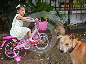 Little baby girl afraid of a dog sitting close to her, causing her to feel uncertain to continue riding