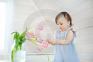 Little baby girl in a blue dress plays with a tulips at home