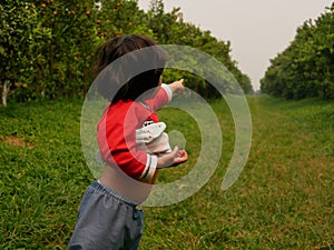Little baby girl enjoys visiting an orange orchard / farm and pointing / telling where she wants to go next