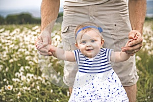 Little baby girl and his father enjoying outdoors in field of daisy flowers