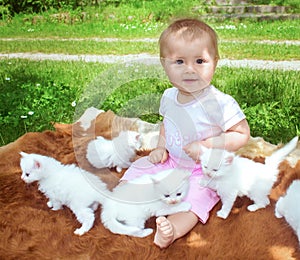 Little baby girl playing with white kittens at sunny summer day in the park