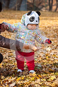 The little baby girl standing in autumn leaves