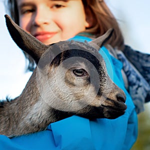 Little goatling in the arms of a teenage girl