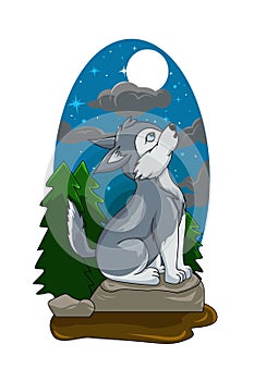 A little baby gray wolf alone in a forest with night sky and star light background, design animal cartoon  illustration